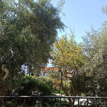Greekowl Apartments Skiathos Chora Extérieur photo