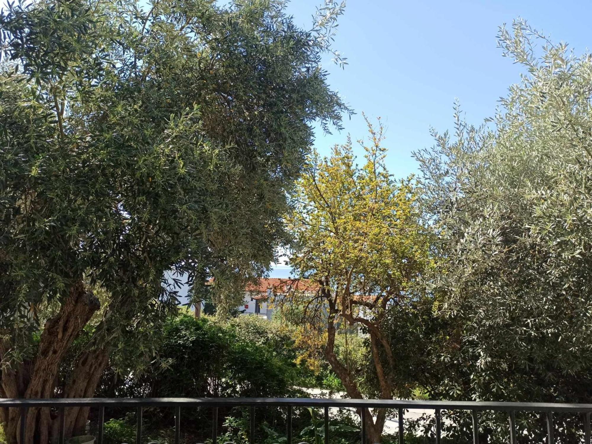 Greekowl Apartments Skiathos Chora Extérieur photo