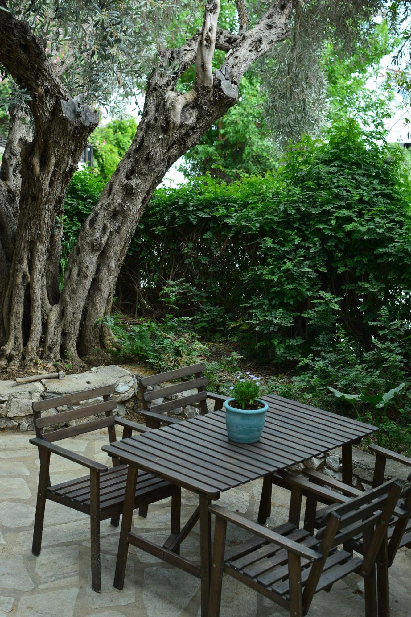 Greekowl Apartments Skiathos Chora Extérieur photo